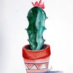 cactusGaleria03