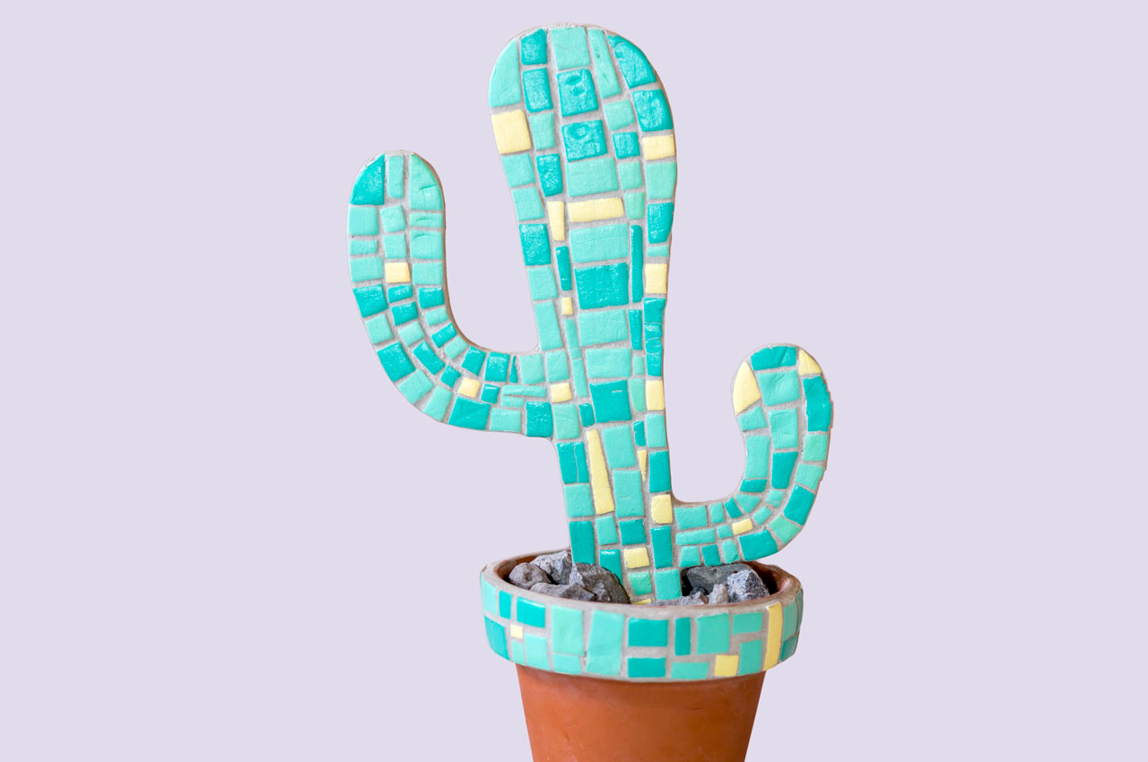 Cactus-mosaiquismo-14